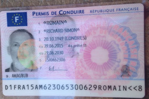 France Driving Licence