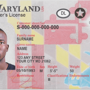 Drivers License
