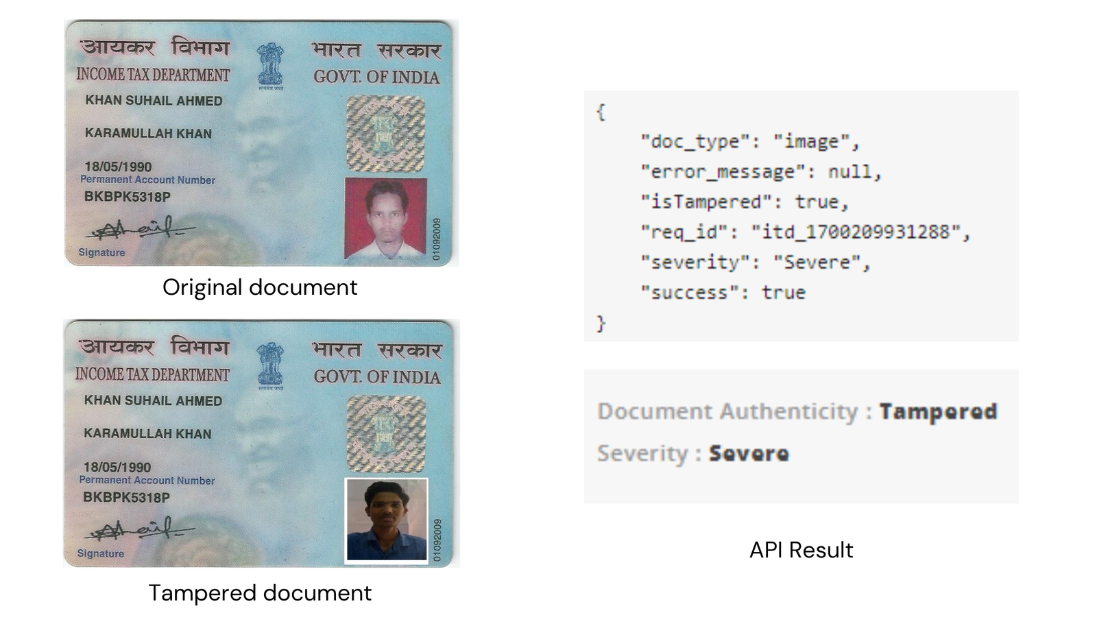 Fake Document Detection