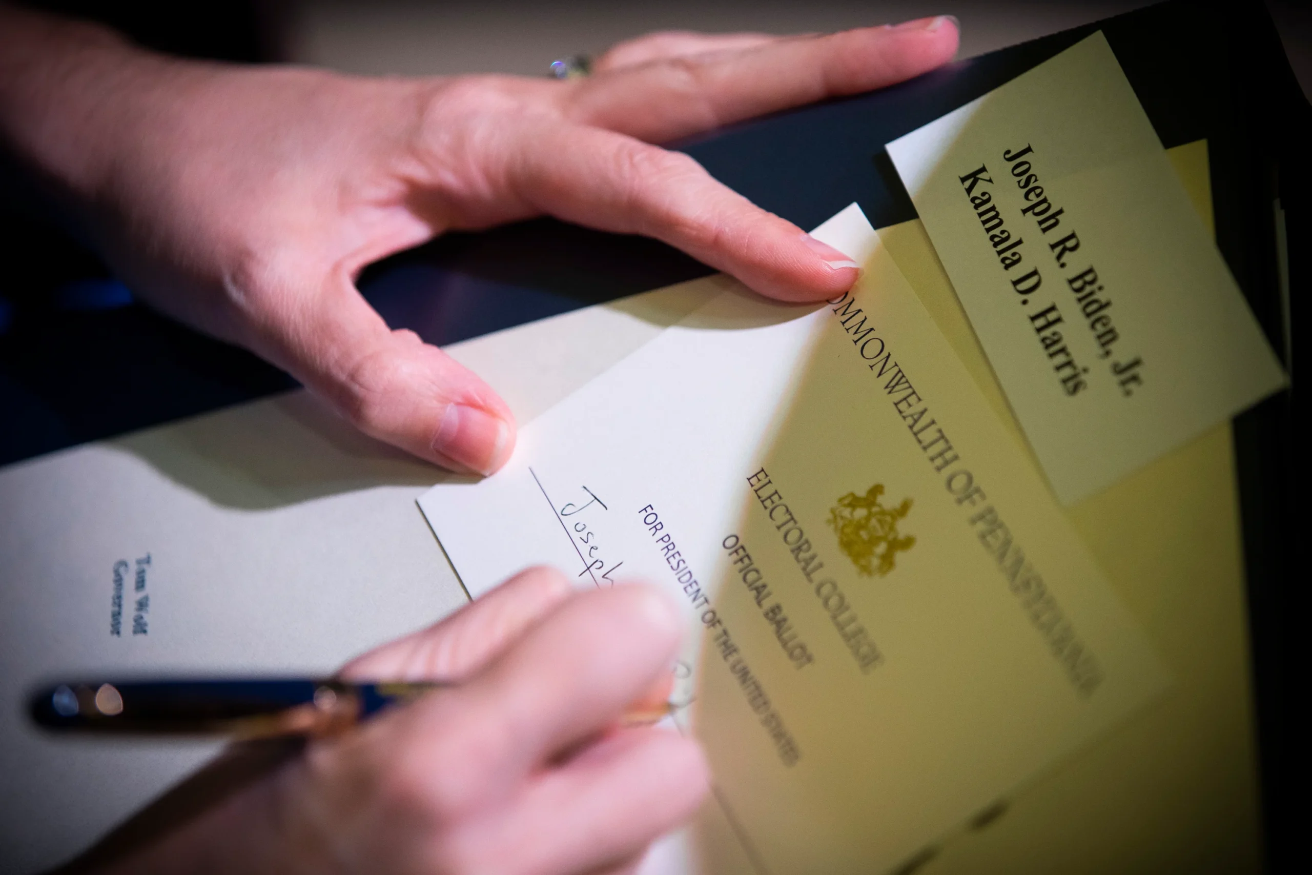 Fake Electors Documents